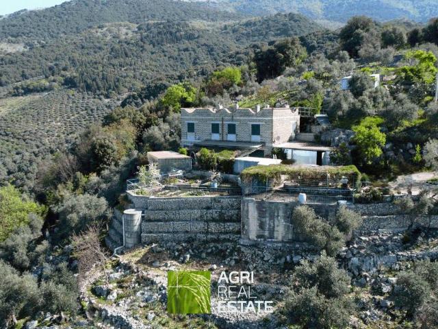 Terreno in vendita a Cori, Lazio