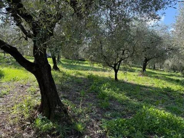Terreno in vendita a Cori, Lazio