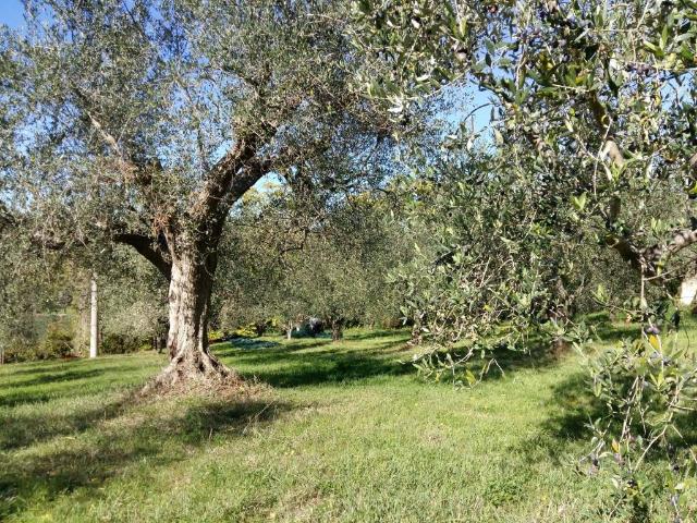 Terreno in vendita a Monte Tauro, Coriano