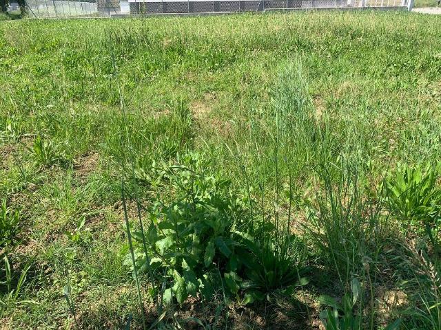 Terreno in vendita a Coriano, Reggio Emilia