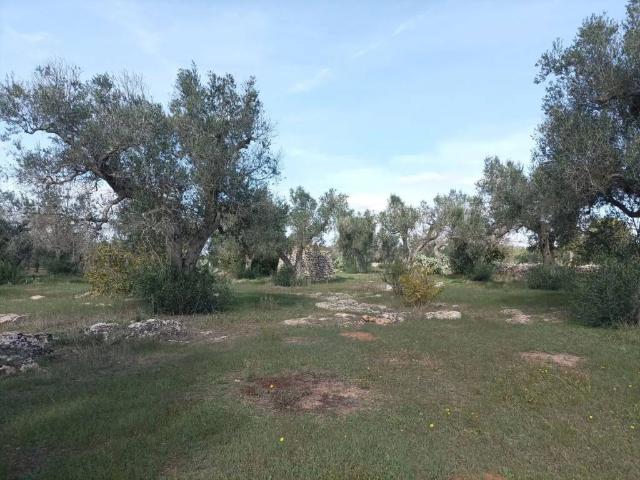 Terreno in vendita a Puglia, Lecce