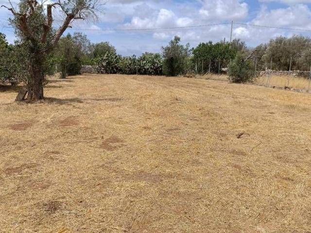 Terreno in vendita a Puglia, Lecce