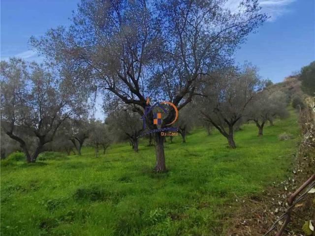 Terreno in vendita a Corigliano-Rossano, Calabria