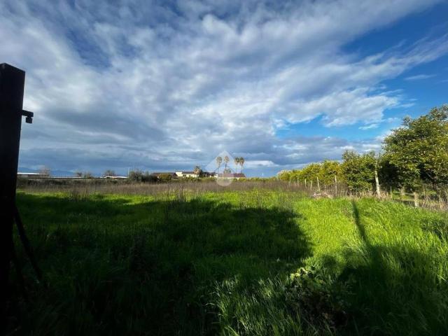 Terreno in vendita a Corigliano-Rossano, Calabria