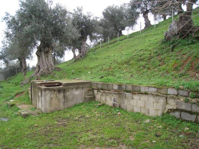 Terreno in vendita a Corigliano-Rossano, Calabria