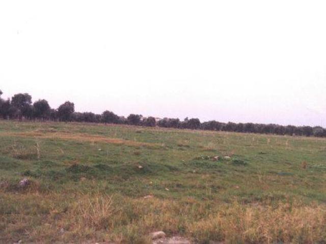 Terreno in vendita a Corigliano-Rossano, Calabria