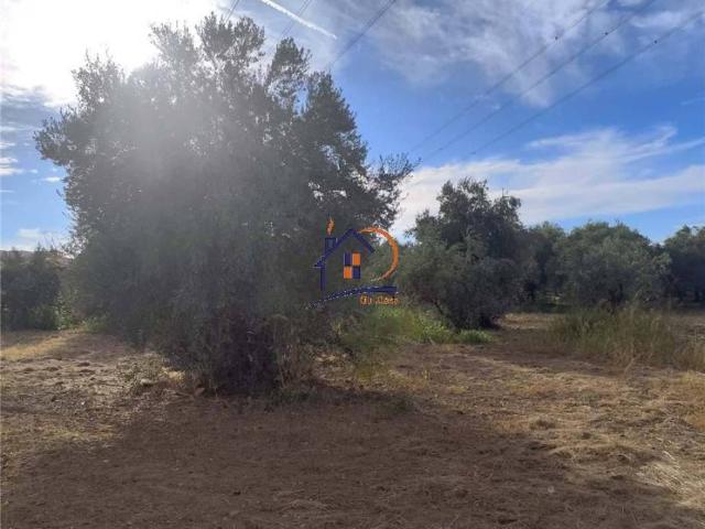 Terreno in vendita a Corigliano-Rossano, Calabria