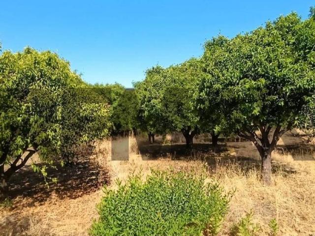 Terreno in vendita a Corigliano-Rossano, Calabria