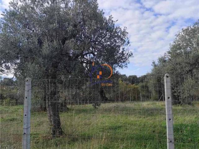 Terreno in vendita a Corigliano-Rossano, Calabria