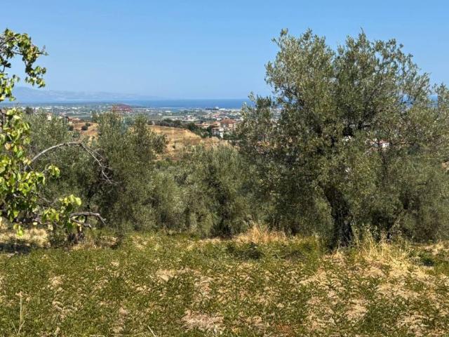 Terreno in vendita a Corigliano-Rossano, Calabria
