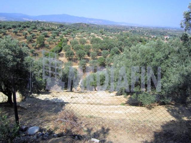 Terreno in vendita a Corigliano-Rossano, Calabria