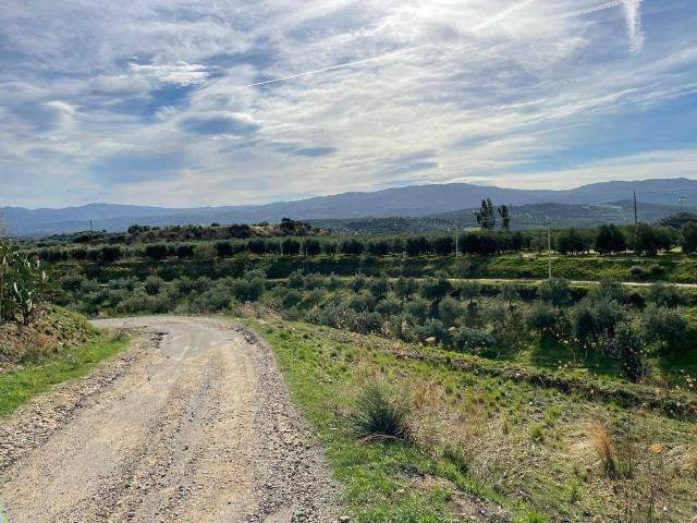 Terreno in vendita a Corigliano-Rossano, Calabria