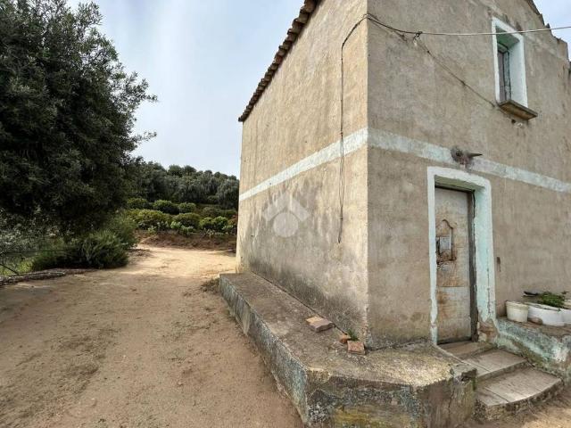 Terreno in vendita a Villaggio Frasso, Cosenza