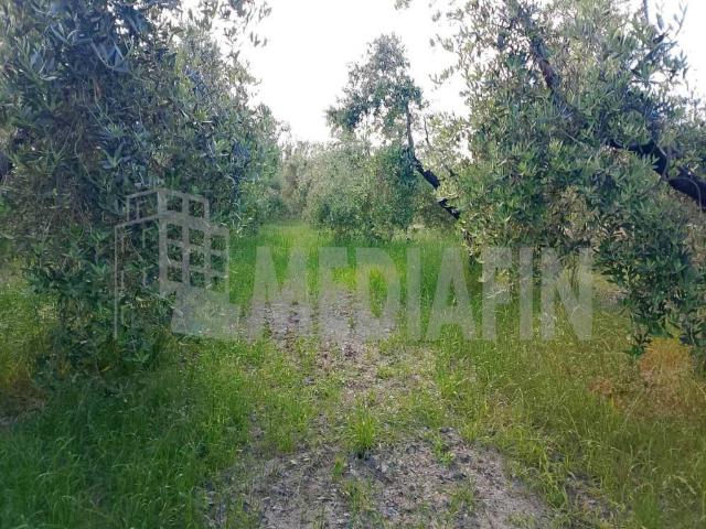 Terreno in vendita a Corigliano-Rossano, Calabria