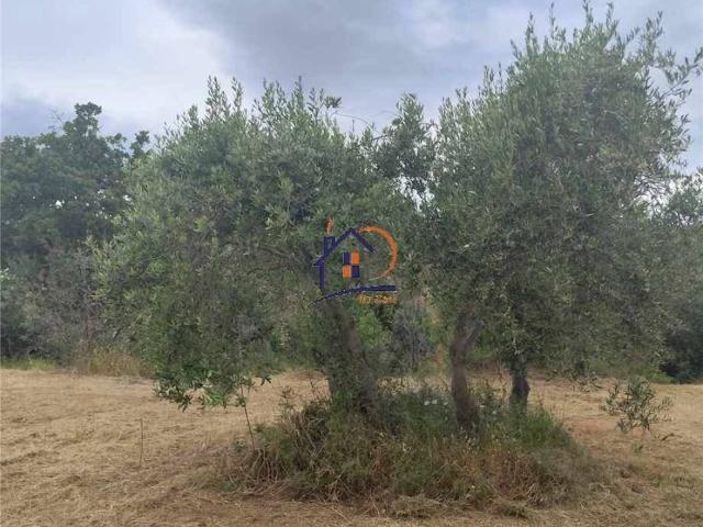 Terreno in vendita a Corigliano-Rossano, Calabria
