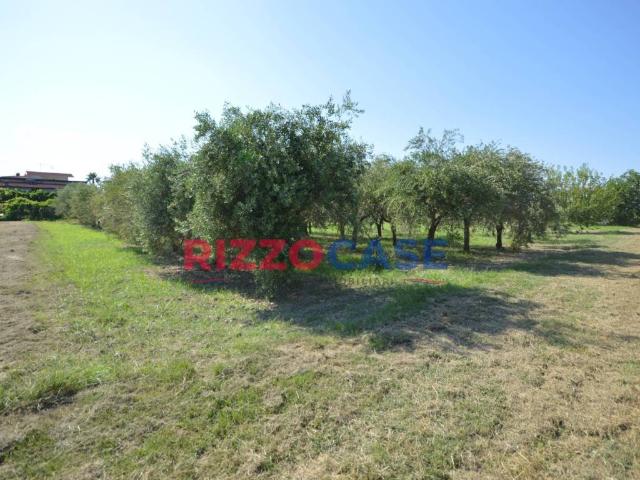 Terreno in vendita a Corigliano-Rossano, Calabria