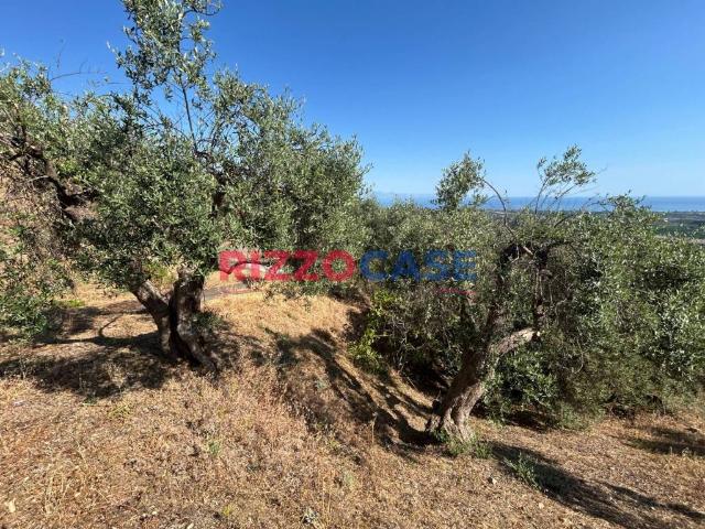 Terreno in vendita a Corigliano-Rossano, Calabria