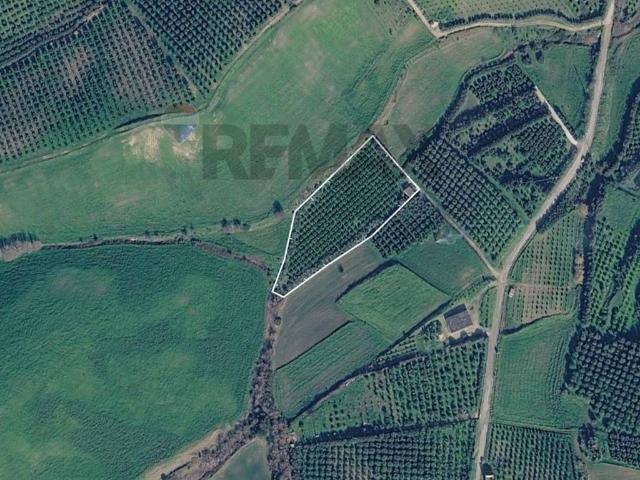 Terreno in vendita a Corigliano Scalo, Cosenza