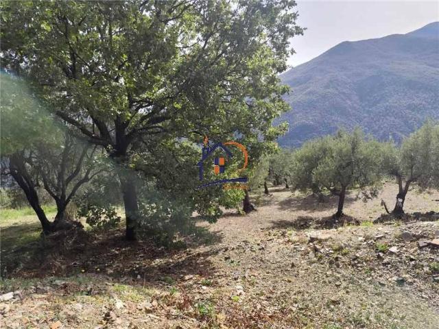 Terreno in vendita a Corigliano-Rossano, Calabria
