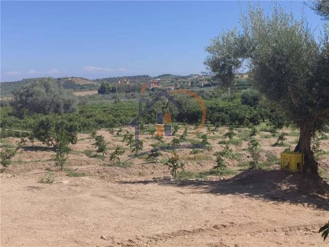 Terreno in vendita a Piragineti