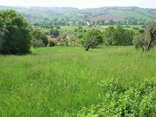Terreno in vendita a Marche, Ancona