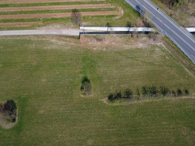 Terreno in vendita a Cormons, Friuli-Venezia Giulia