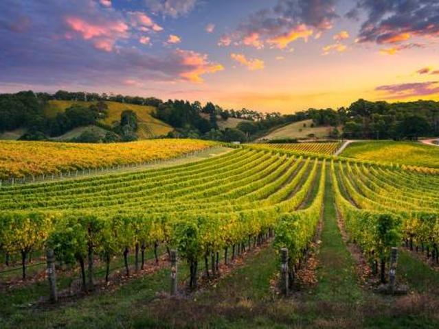 Terreno in vendita a Piemonte, Cuneo