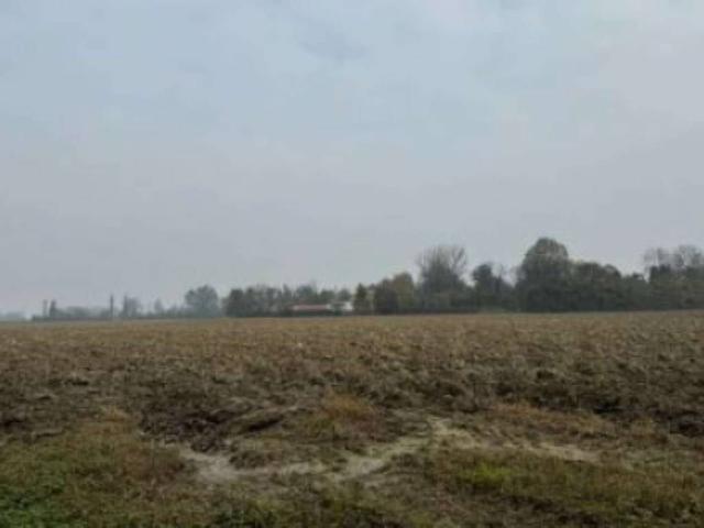 Terreno in vendita a Pianura Reggiana, Re