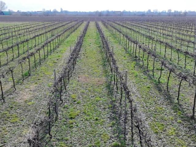 Terreno in vendita a Pianura Reggiana, Re