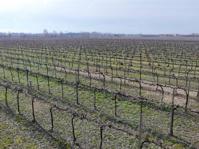Terreno in vendita a Pianura Reggiana, Re