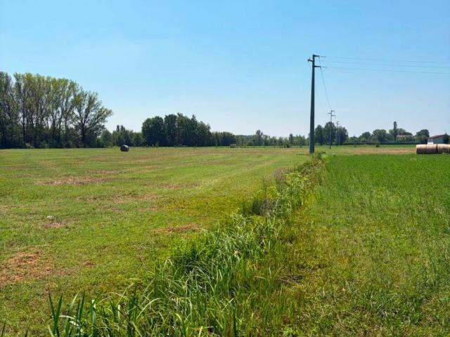 Terreno in vendita a Pianura Reggiana, Re