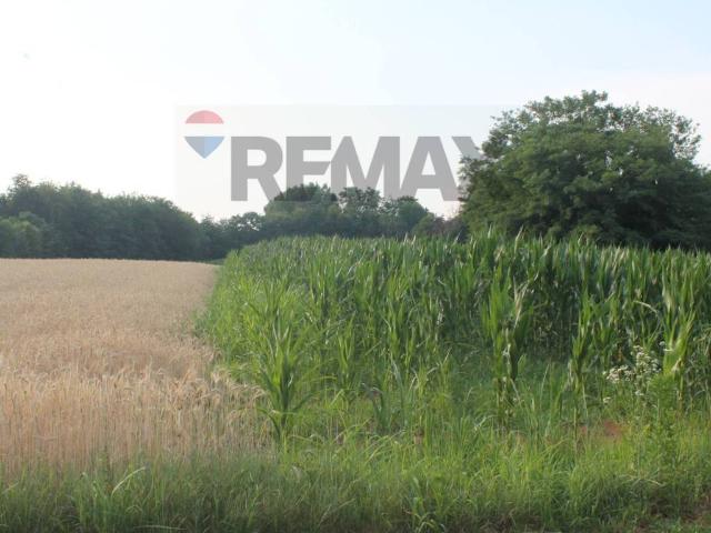 Terreno in vendita a Casotto, Correzzana