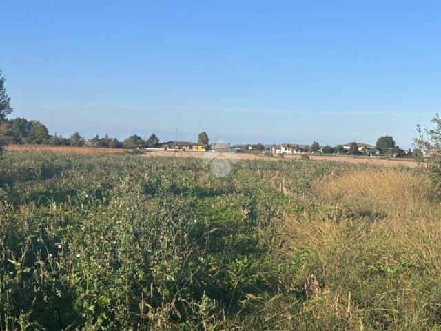 Terreno in vendita a Correzzola, Veneto