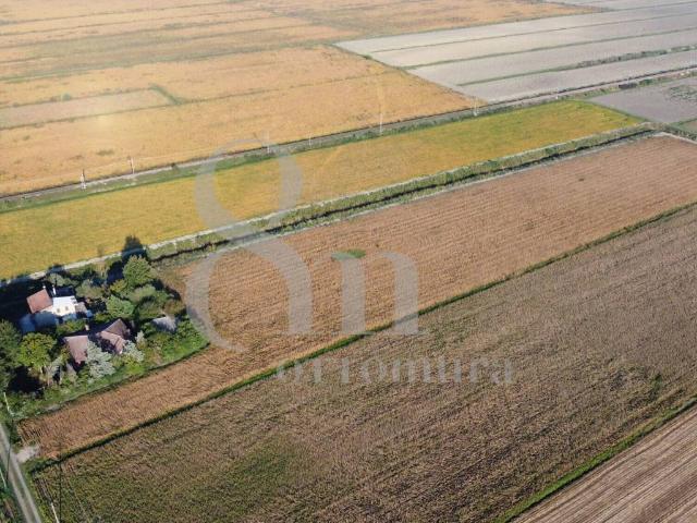 Terreno in vendita a Concadalbero, Correzzola