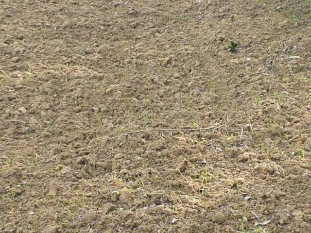 Terreno in vendita a Marche, Macerata