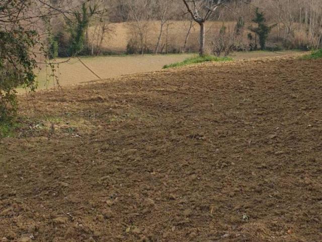 Terreno in vendita a Marche, Macerata