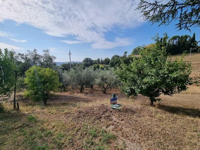 Terreno in vendita a Marche, Macerata