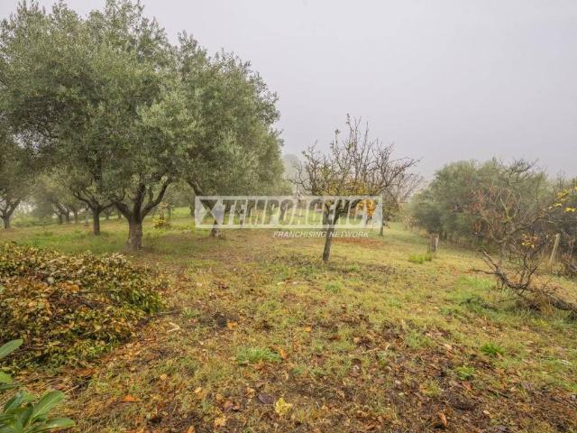 Terreno in vendita a Marche, Macerata