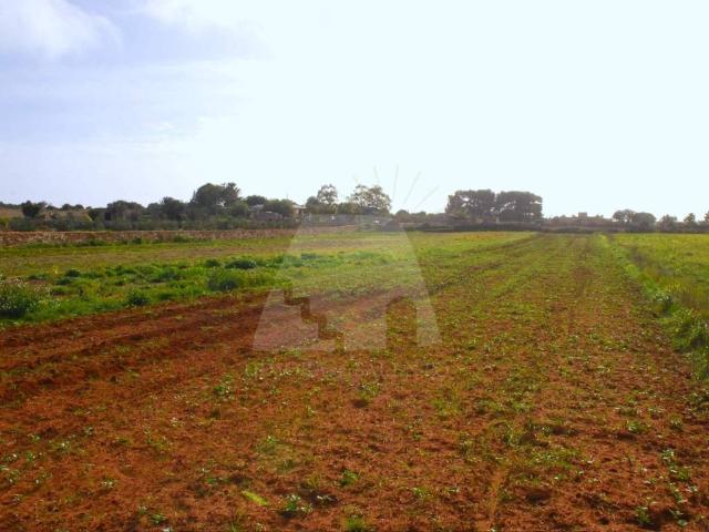 Terreno in vendita a Puglia, Lecce