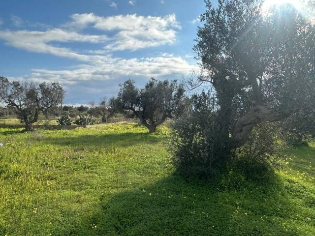 Terreno in vendita a Puglia, Lecce