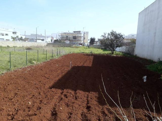 Terreno in vendita a Puglia, Lecce