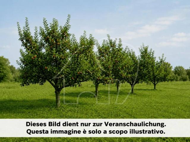 Terreno in vendita a Überetsch-Unterland - Oltradige-Bassa Atesina, Cortaccia - Kurtatsch