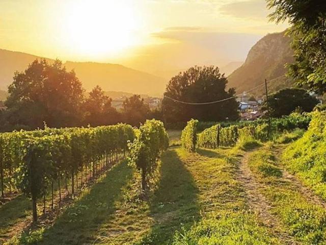 Terreno in vendita a Corte Franca, Lombardia