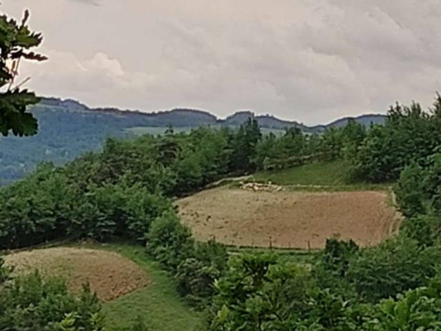 Terreno in vendita a Piemonte, Cuneo