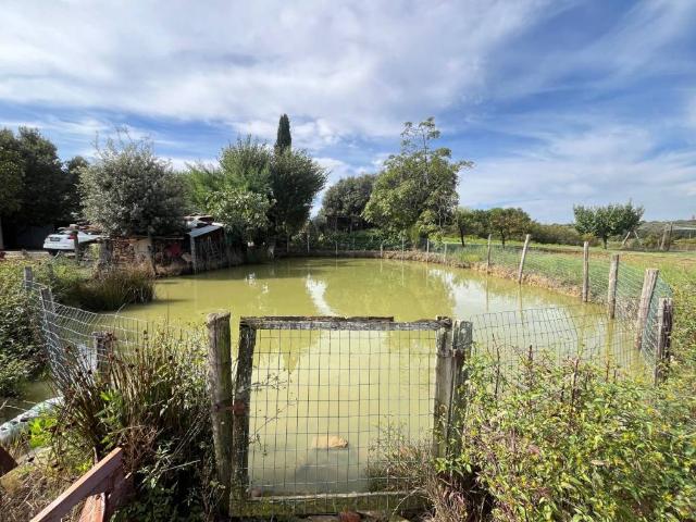 Terreno in vendita a Cortona, Toscana