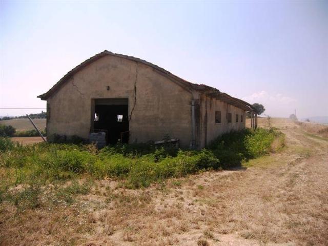 Terreno in vendita a Cortona