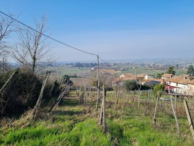 Terreno in vendita a Corvino San Quirico, Lombardia