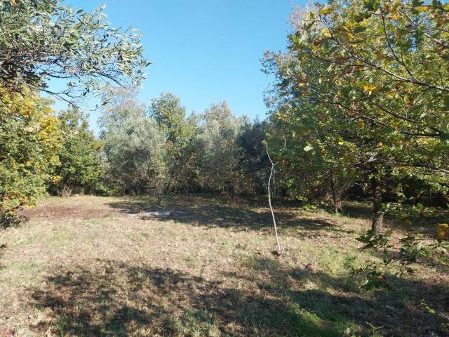 Terreno in vendita a Bivio Donnici, Calabria