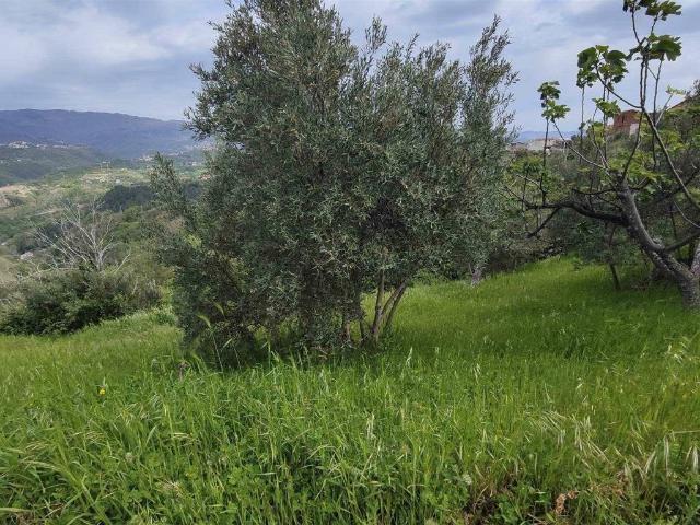 Terreno in vendita a Calabria, Cosenza
