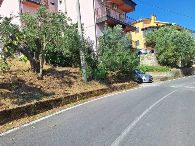 Terreno in vendita a Calabria, Cosenza